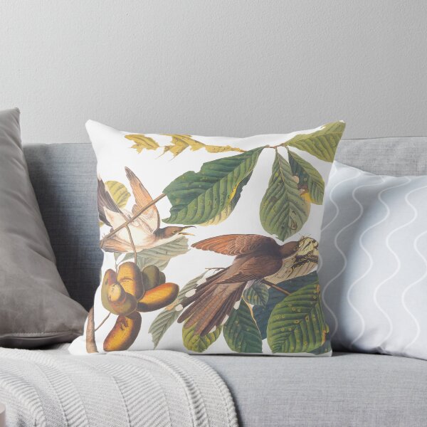 Aperçu de l'œuvre Coucou à bec jaune d'Audubon créée et vendue par Candice Davis.