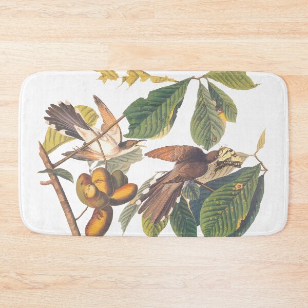Item preview, Audubon's Yellow Billed Cuckoo designed and sold by Candice Davis.