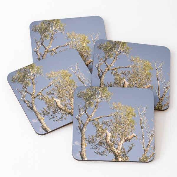 Item preview, rbs lone tree designed and sold by pcfyi.