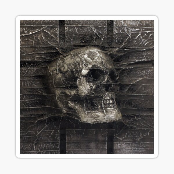 Karbon Kast Skull Sticker