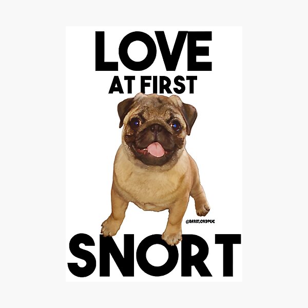 Item preview, LOVE AT FIRST SNORT designed and sold by darklordpug.