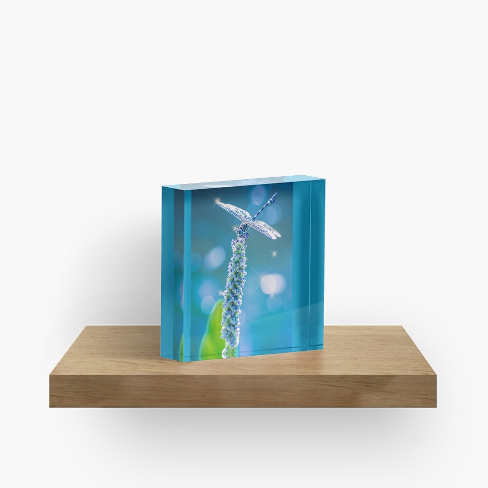 Item preview, Acrylic Block designed and sold by Gailsphotoart.
