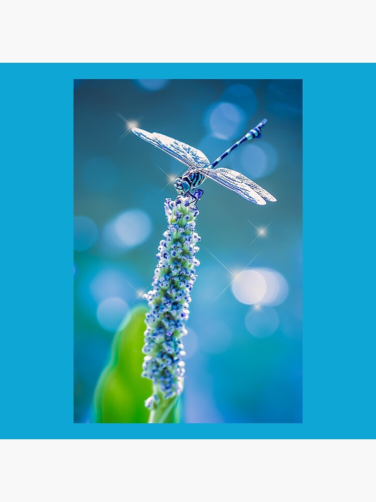 Dragonfly - Mystic Blue by Gailsphotoart