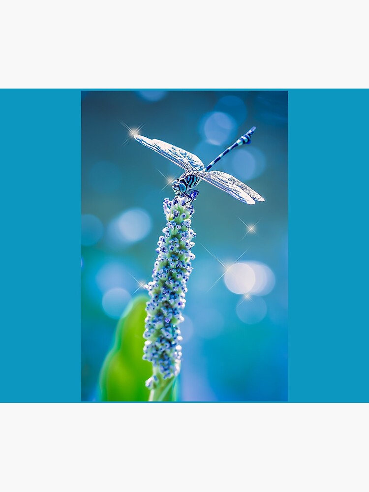 Dragonfly - Mystic Blue by Gailsphotoart