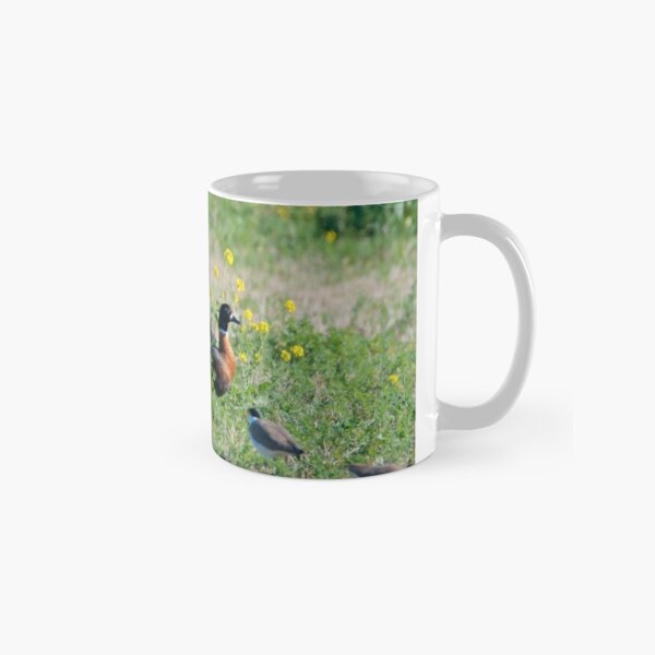 WATERFOWL ~ Australian Shelduck, Pied Oystercatcher, Masked Lapwing F88D4FQP by David Irwin Classic Mug