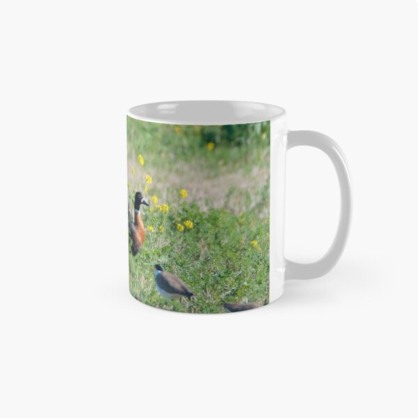 Item preview, WATERFOWL ~ Australian Shelduck, Pied Oystercatcher, Masked Lapwing F88D4FQP by David Irwin designed and sold by tasmanianartist.