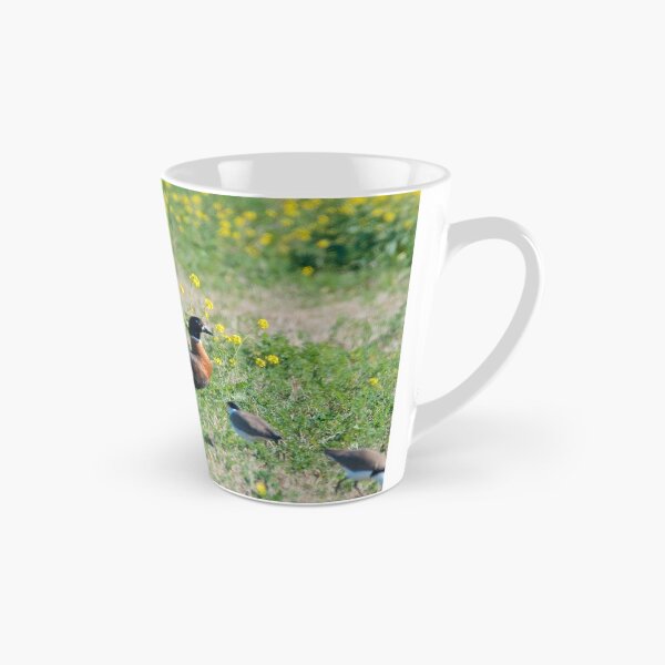Item preview, WATERFOWL ~ Australian Shelduck, Pied Oystercatcher, Masked Lapwing F88D4FQP by David Irwin designed and sold by tasmanianartist.