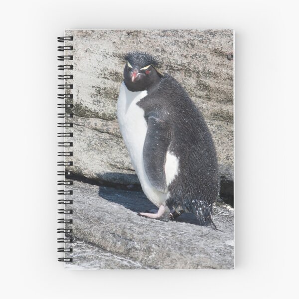 Item preview, Curious Rockhopper designed and sold by Marylou Badeaux.
