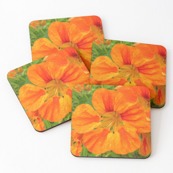 Item preview, Nasturtium in the sun designed and sold by lezvee.