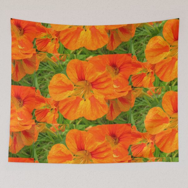 Item preview, Nasturtium in the sun designed and sold by lezvee.