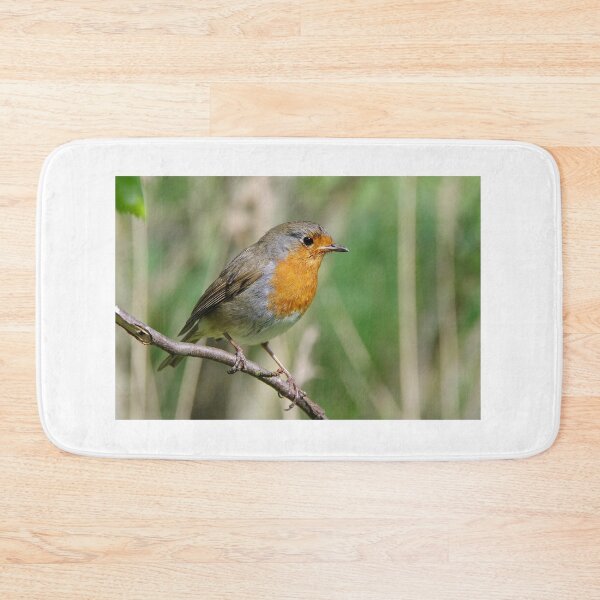 Item preview, European Robin designed and sold by Lyle McNamara.