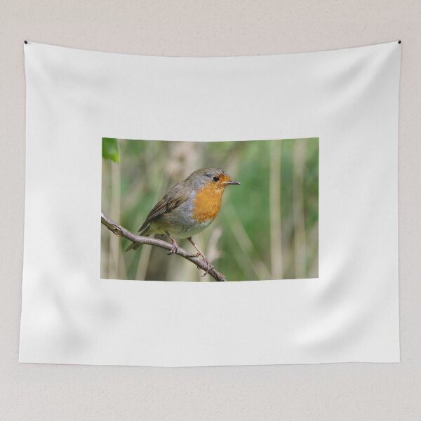 Item preview, European Robin designed and sold by Lyle McNamara.