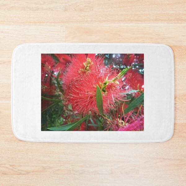 Item preview, *Bottlebrush tree along driveway - Vic. Australia* designed and sold by EdsMum.