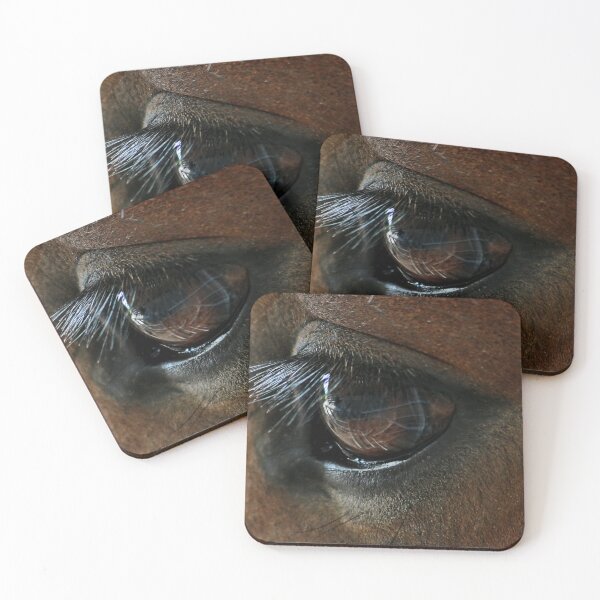 Item preview, Shire Foals eye, designed and sold by AnnDixon.