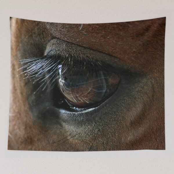 Item preview, Shire Foals eye, designed and sold by AnnDixon.