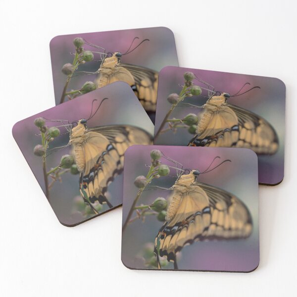 Item preview, King Swallowtail Butterfly designed and sold by JBlaminsky.