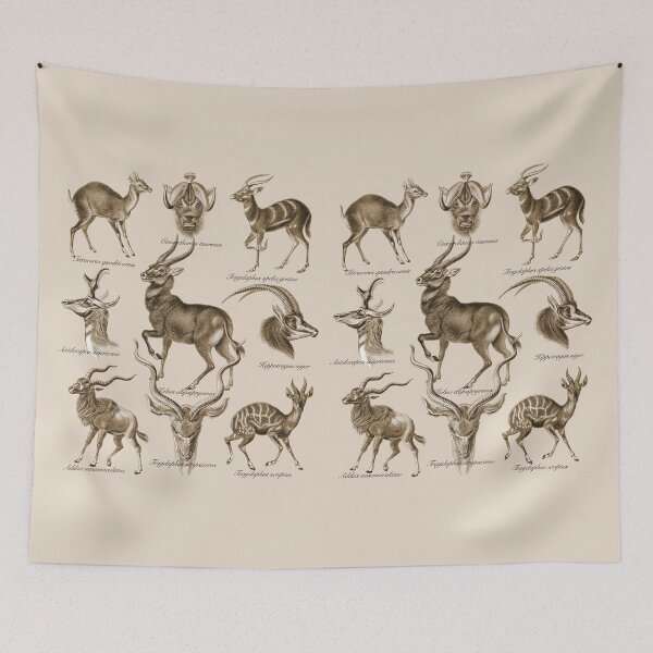 Item preview, Antilopina. the subfamily (now Antilopinae, family Bovidae) of gazelles. designed and sold by Squirrox.