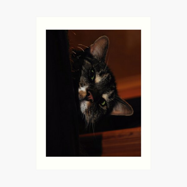 'Ello.. Art Print