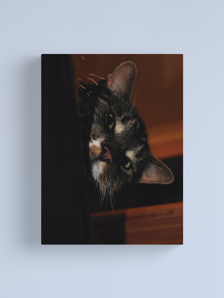 Alternate view of 'Ello.. Canvas Print