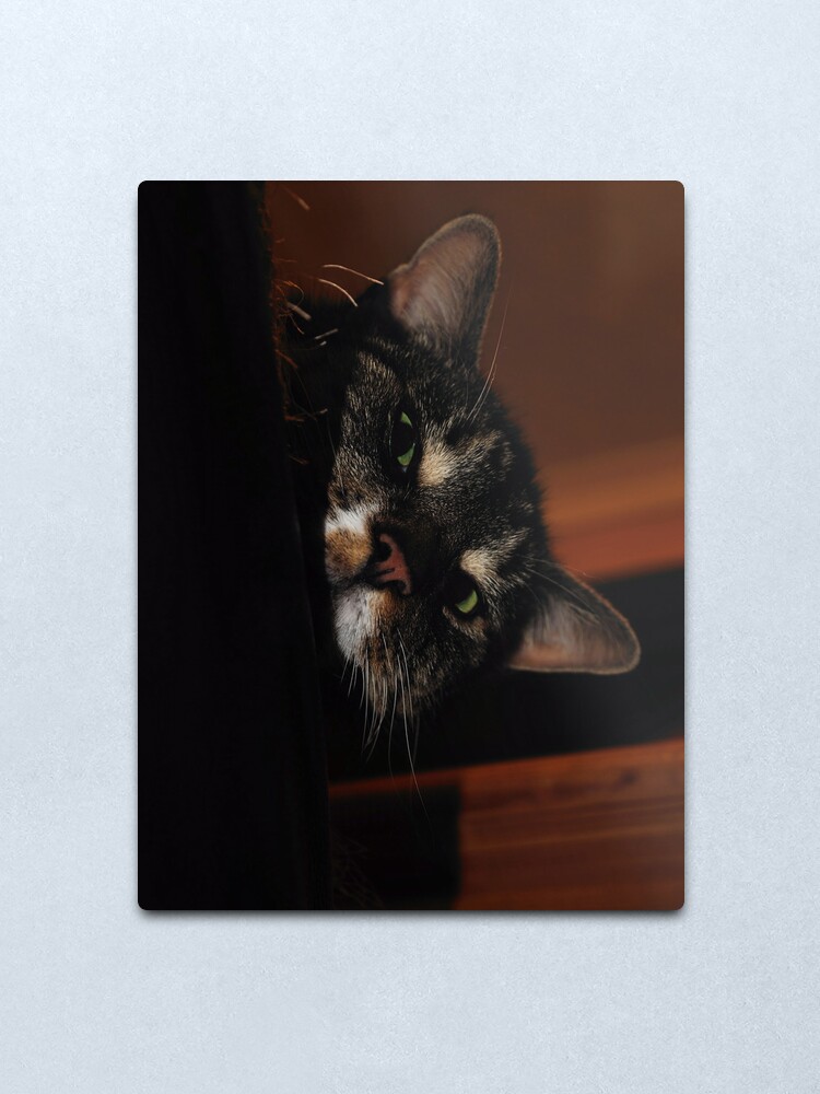 Alternate view of 'Ello.. Metal Print