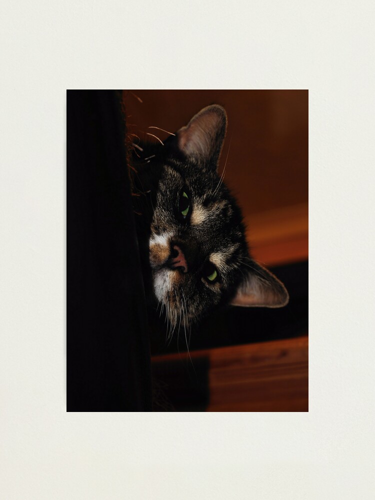 Alternate view of 'Ello.. Photographic Print