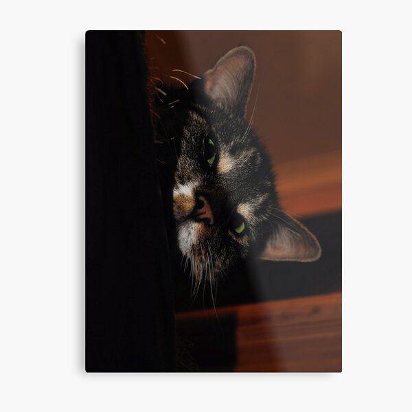 'Ello.. Metal Print