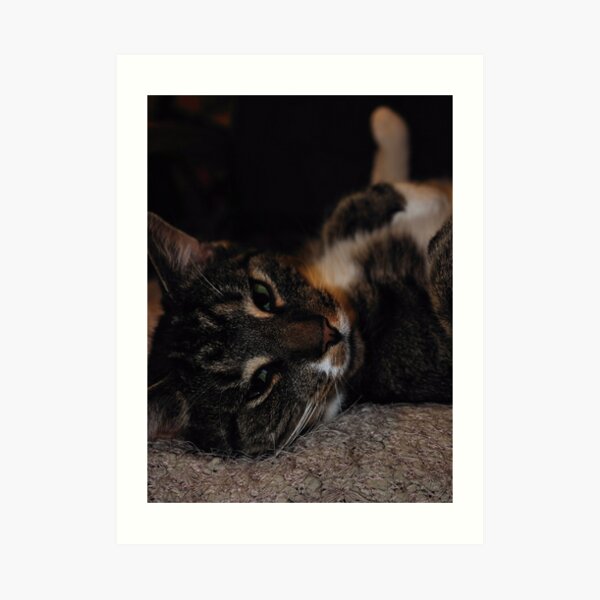 Mr Dribbles Plays Coy Art Print