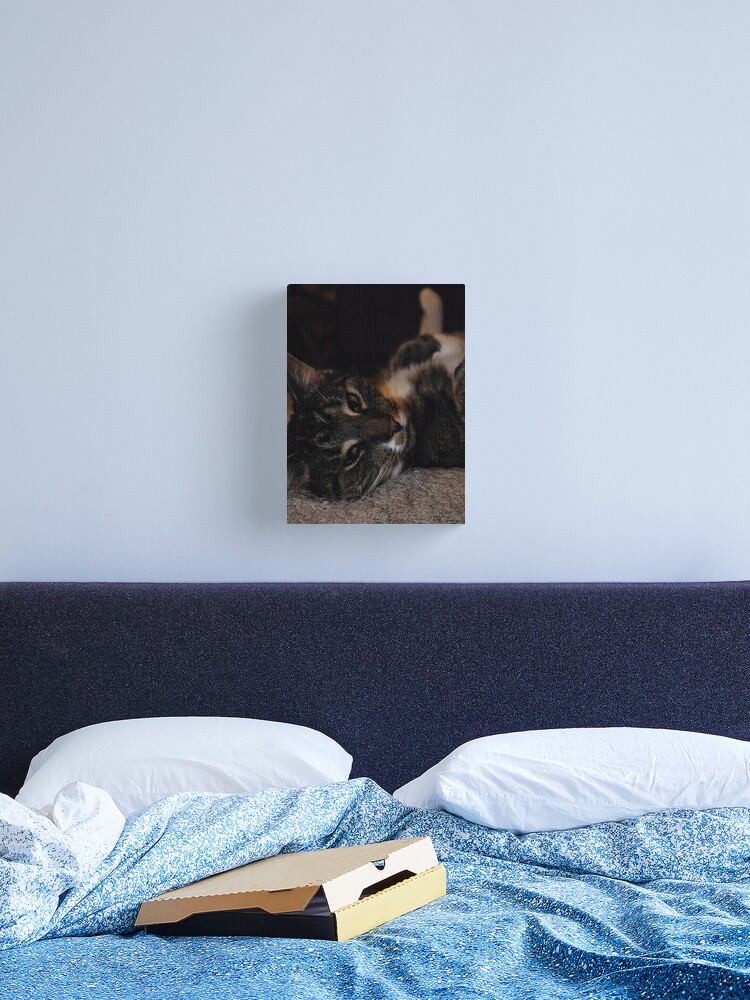 Thumbnail 1 of 3, Canvas Print, Mr Dribbles Plays Coy designed and sold by Paul Eden.