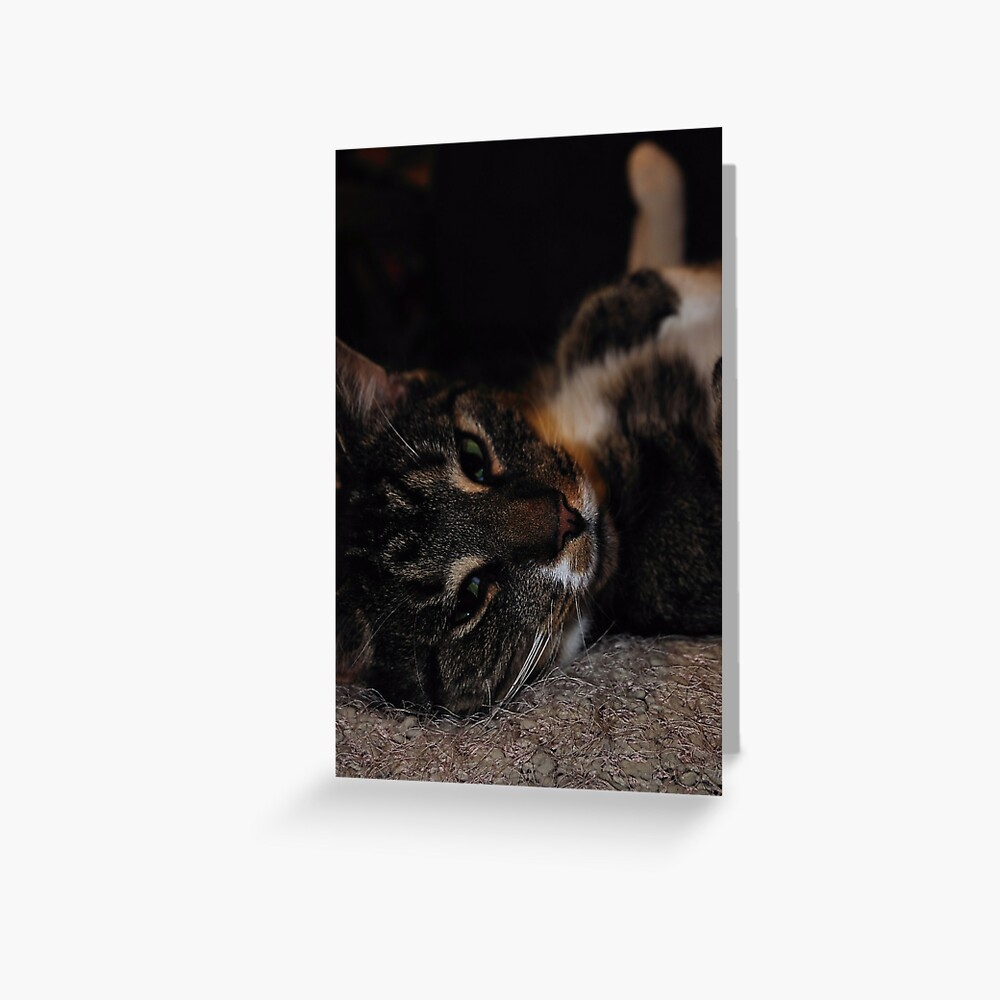 Item preview, Greeting Card designed and sold by pauleden.