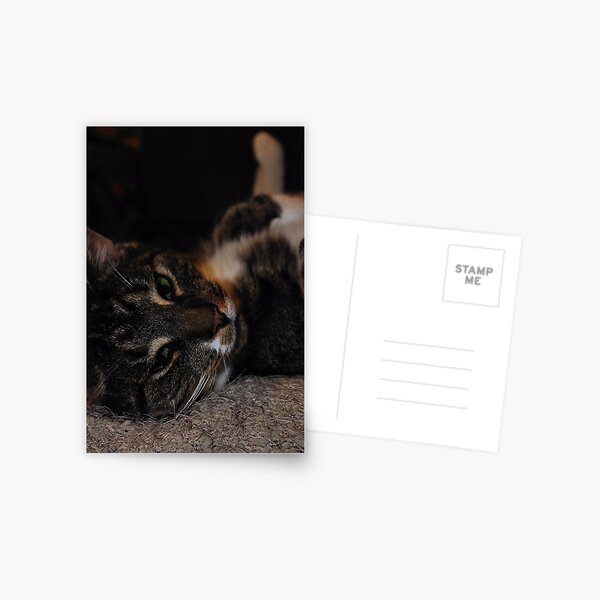 Mr Dribbles Plays Coy Postcard