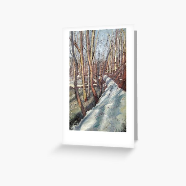 Snowy Trail at Rock Creek Park Greeting Card
