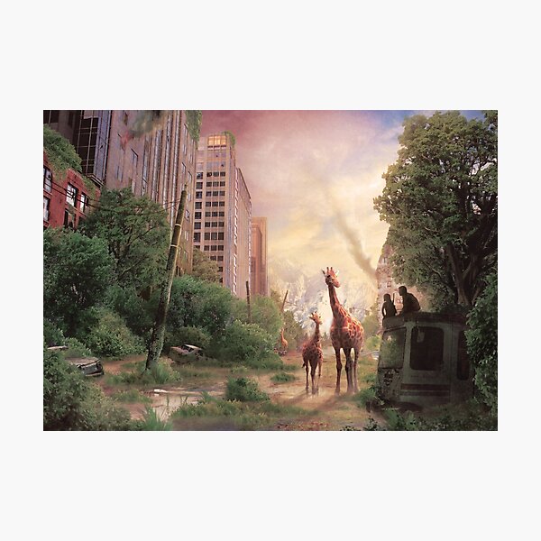 Journey's End Photographic Print