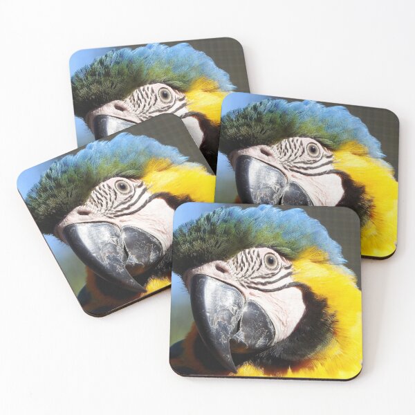 Item preview, Macaw designed and sold by LettuceBe.