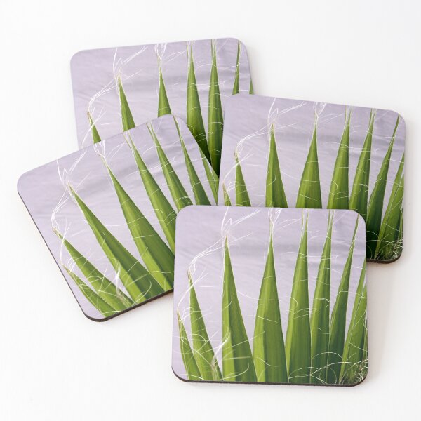 Item preview, Tropical Fan Palm Fronds Abstract Photography  designed and sold by taiche.