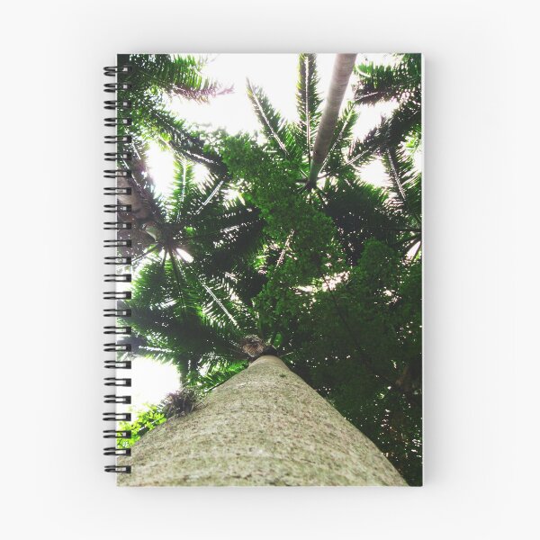 Item preview, Palm - Palmera  designed and sold by Adrian Delgado.