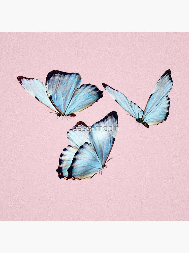 Featured image of post Vsco Tumblr Blue Butterfly Wallpaper Aesthetic