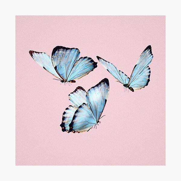 Item preview, Butterfly Aesthetic  designed and sold by cass-mddn.