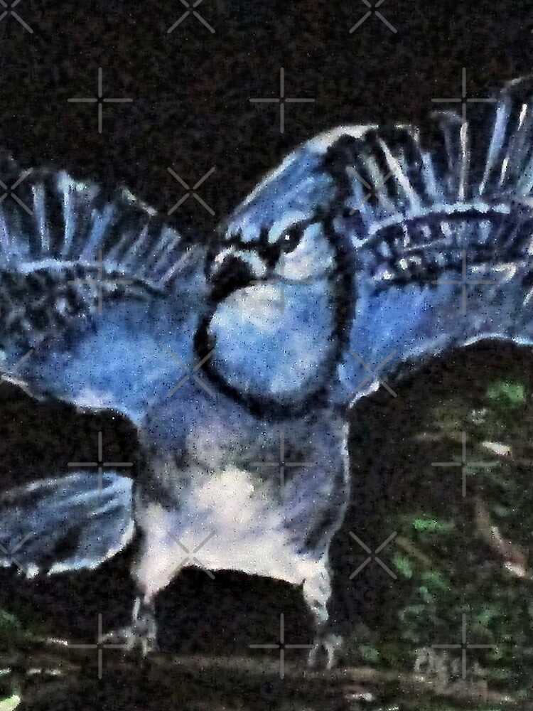 Angry Blue Jay by cjkell