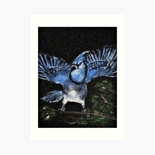 Angry Blue Jay Art Print