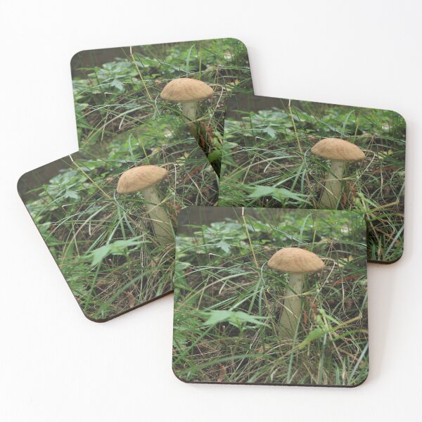 Item preview, brown cap boletus in grass designed and sold by mrivserg.