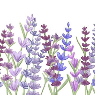 Artwork thumbnail, Watercolour painting of lavender - Purple painting by amyverse