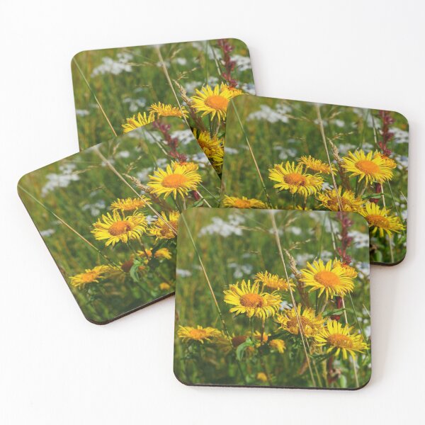 Item preview, Arnica yellow wildflowers designed and sold by mrivserg.