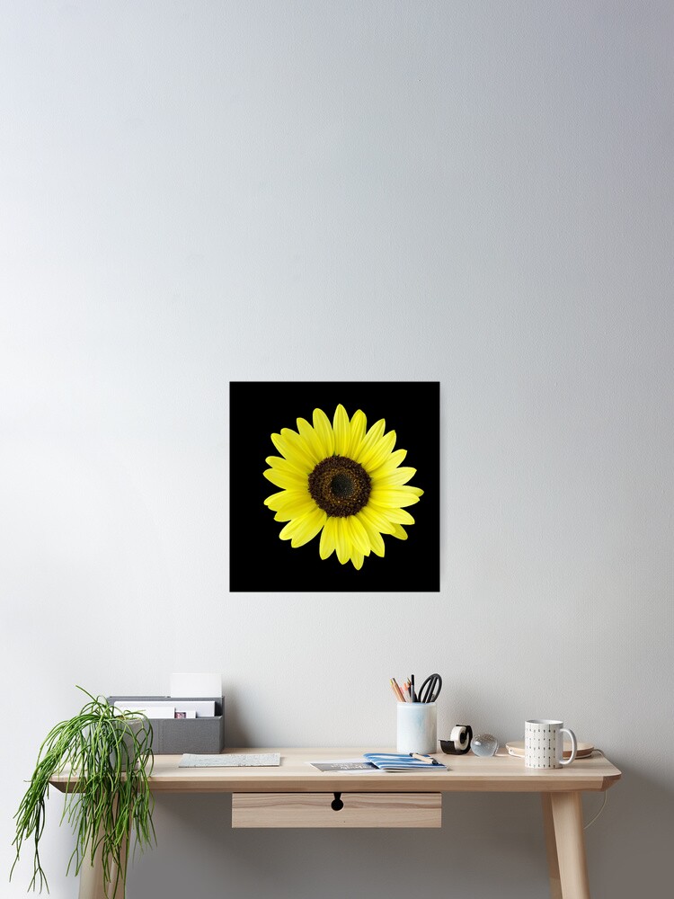 Thumbnail 2 of 3, Poster, Sunflower designed and sold by feiermar.