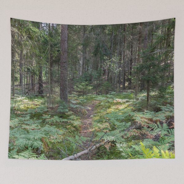 Item preview, Deep Green Forest Path in Northern Europe on a Summer Day designed and sold by Jon Shore.