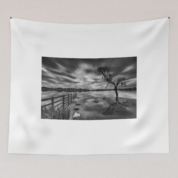 Item preview, Fantasy Tree At Penyfan Pond designed and sold by Steve Purnell Photography.