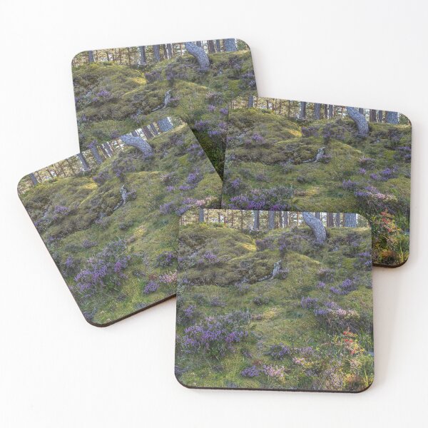 Item preview, Forest on the Baltic Sea on a Summer Day in Latvia designed and sold by Jon Shore.