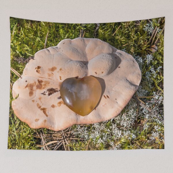 Item preview, Carnelian Heart on a Large Wild Mushroom in a Forest designed and sold by Jon Shore.