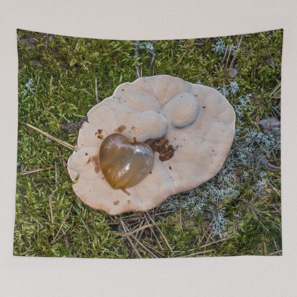 Item preview, Carnelian Heart on a Large Wild Mushroom in a Forest designed and sold by Jon Shore.