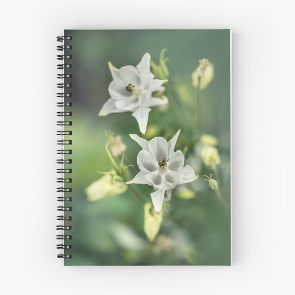 Item preview, White and pastel yellow columbine flowers designed and sold by JBlaminsky.