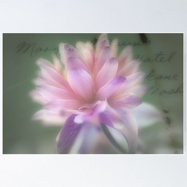 Item preview, Full Bloom... designed and sold by Sharon House.